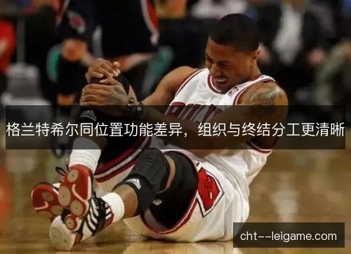 格兰特希尔同位置功能差异，组织与终结分工更清晰